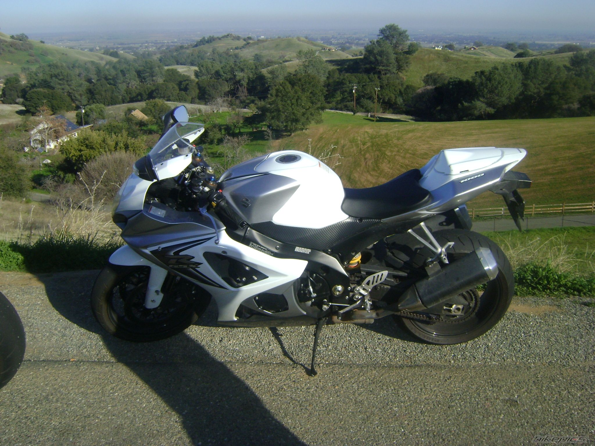 Photo 1565372