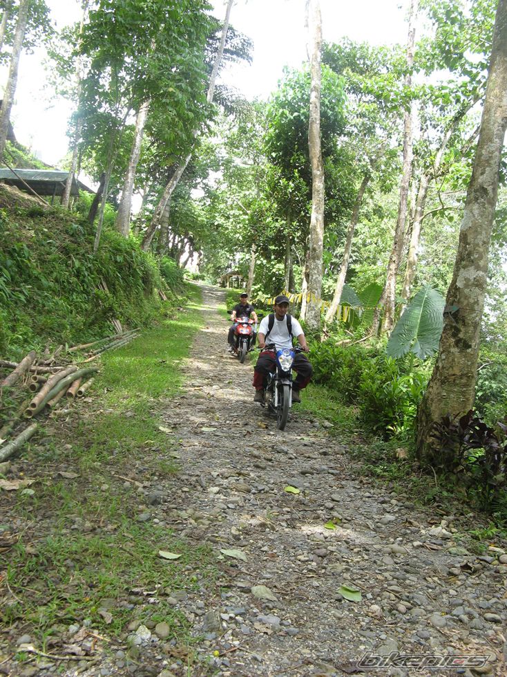 Bike Photo 1565375