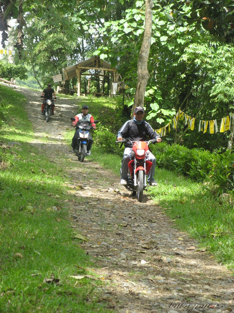 Bike Photo 1565378