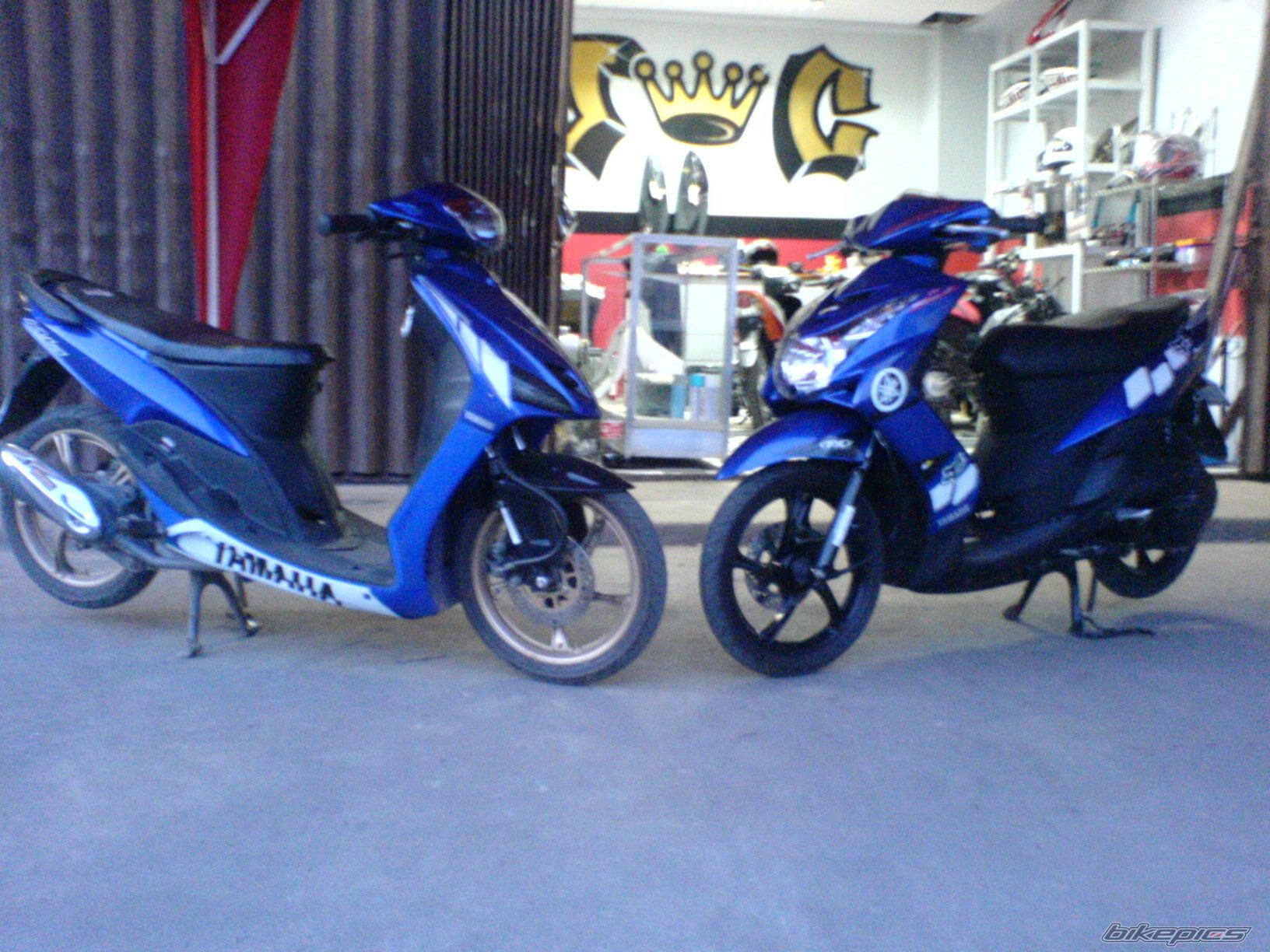 Photo 1565406