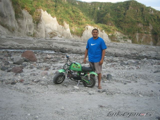 Photo 1565435