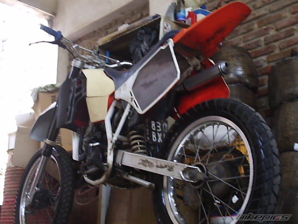 Photo 1565446