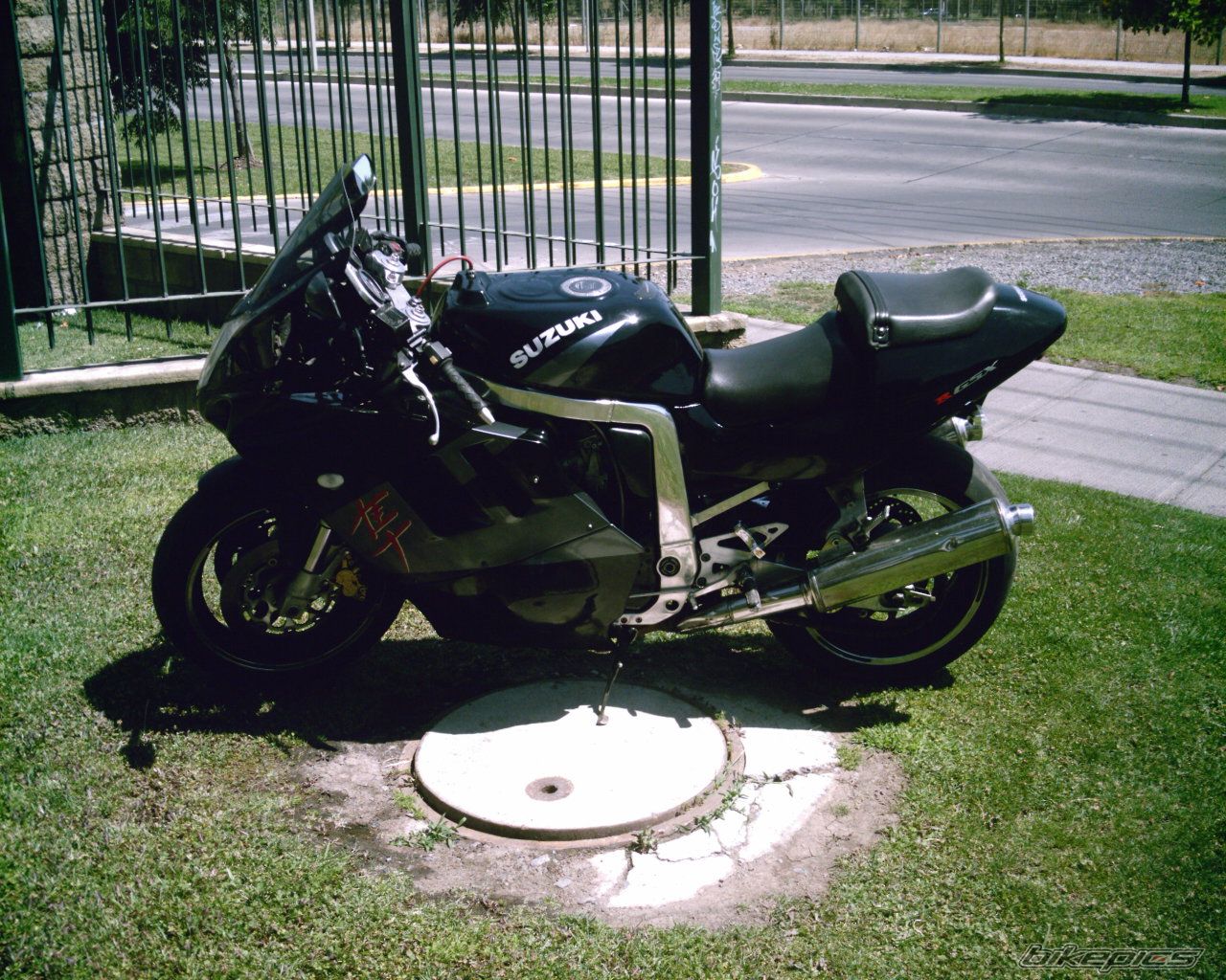 Photo 1565458