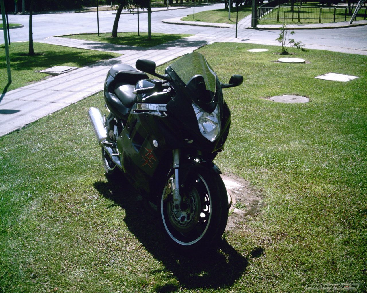 Photo 1565459