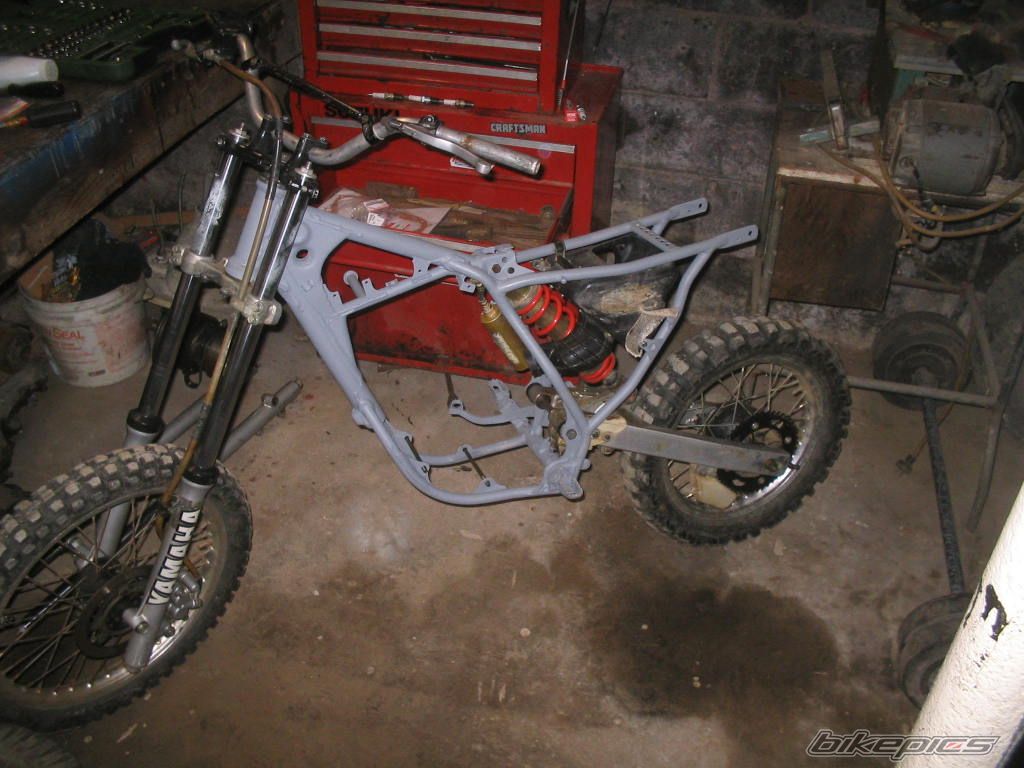 Photo 1565463