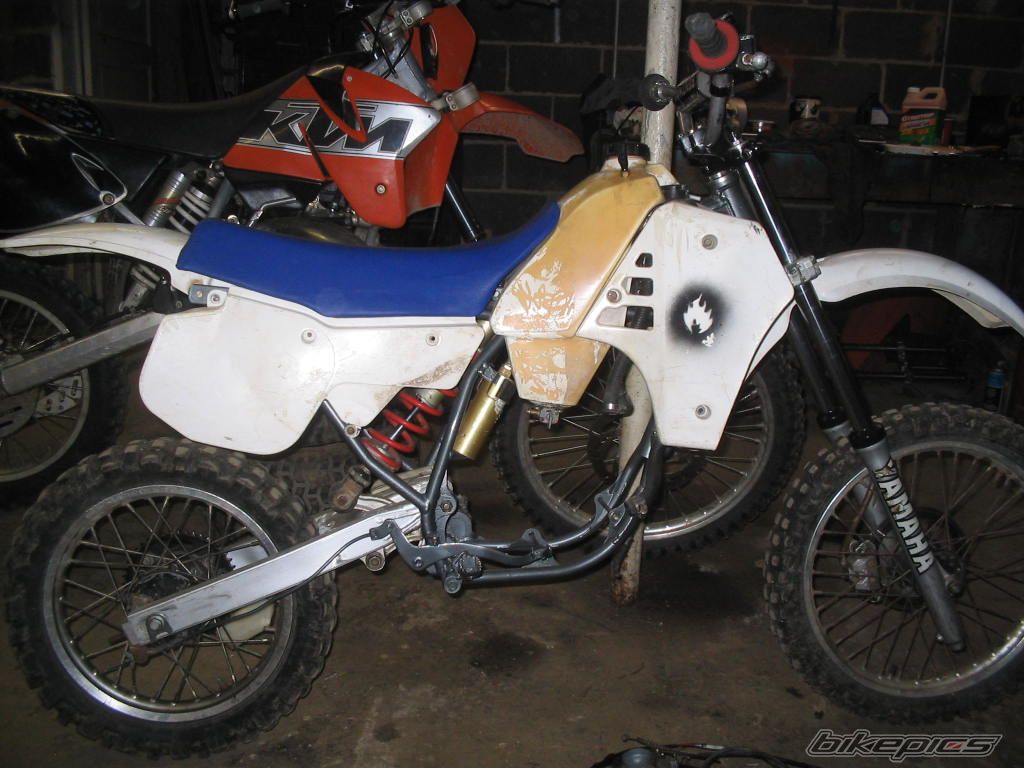 Photo 1565472