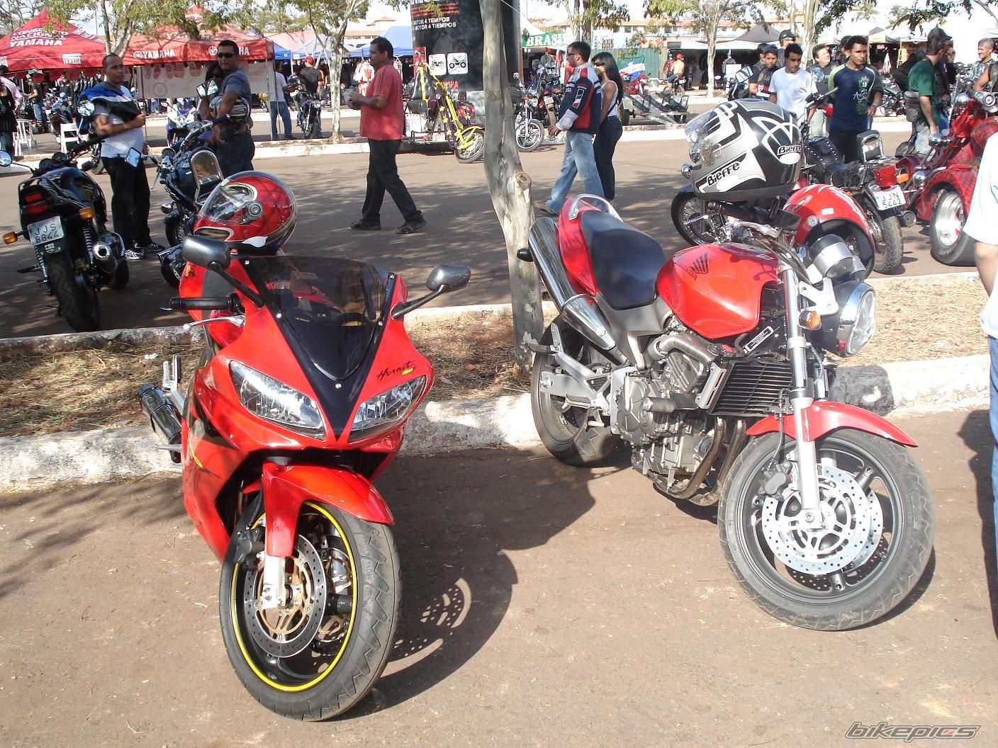 Photo 1565521