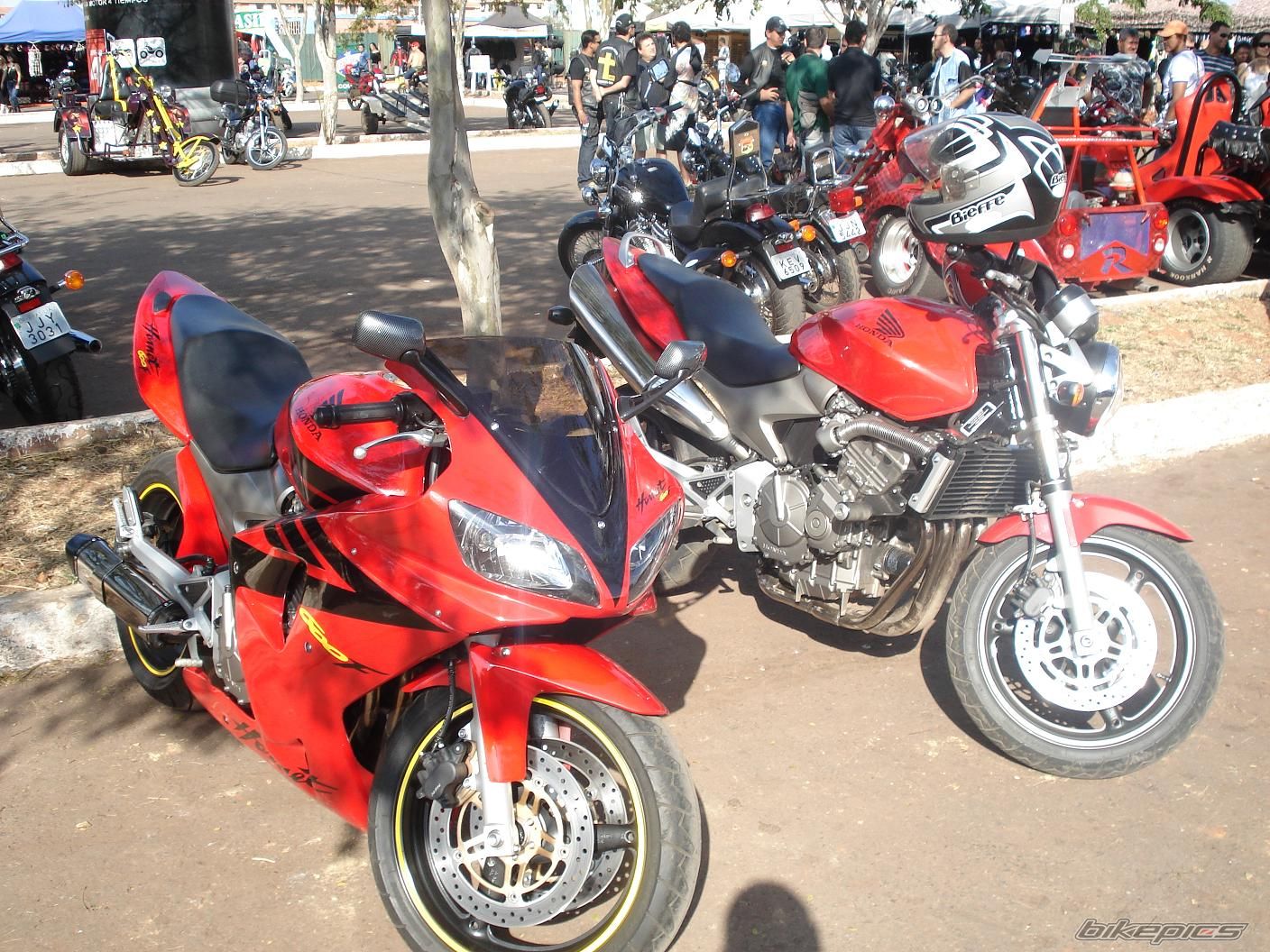 Photo 1565523
