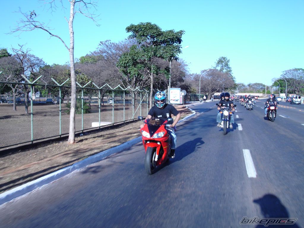 Photo 1565527