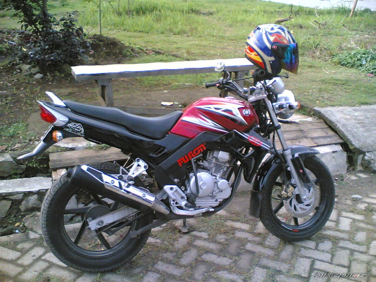 Photo 1565540