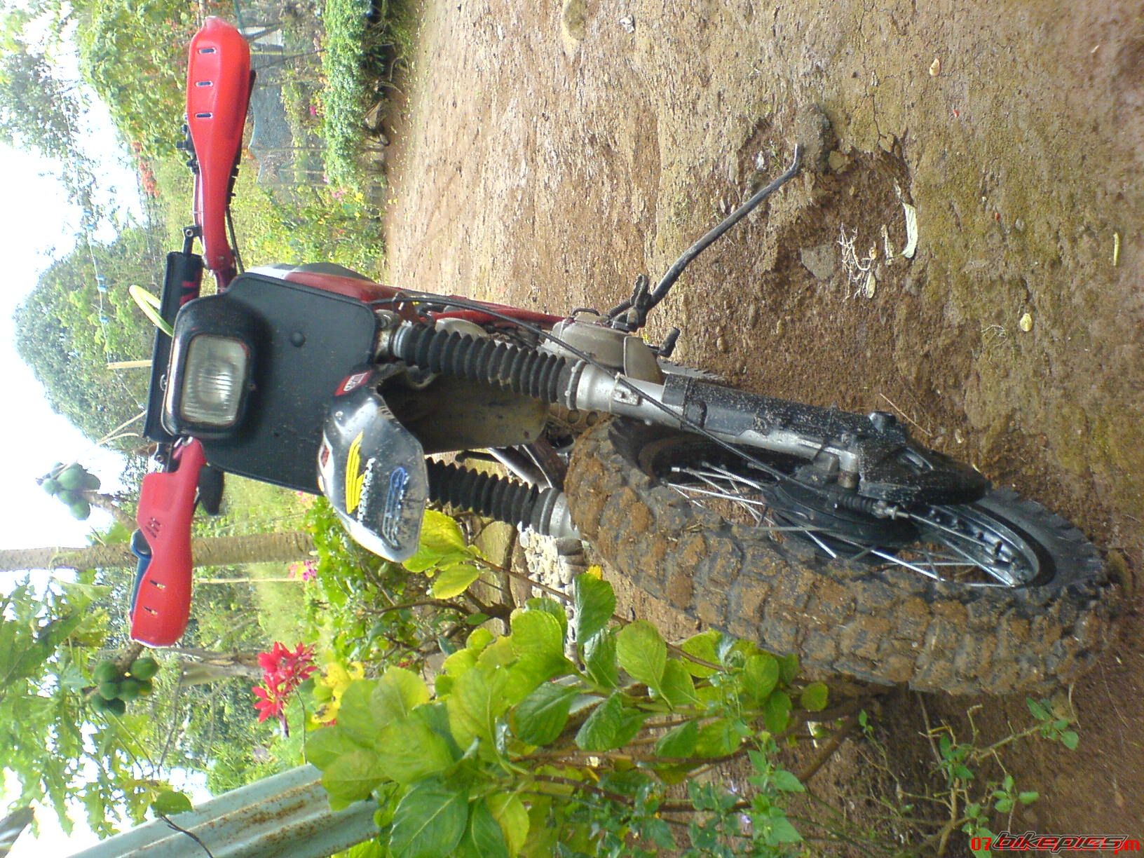 Photo 1565553