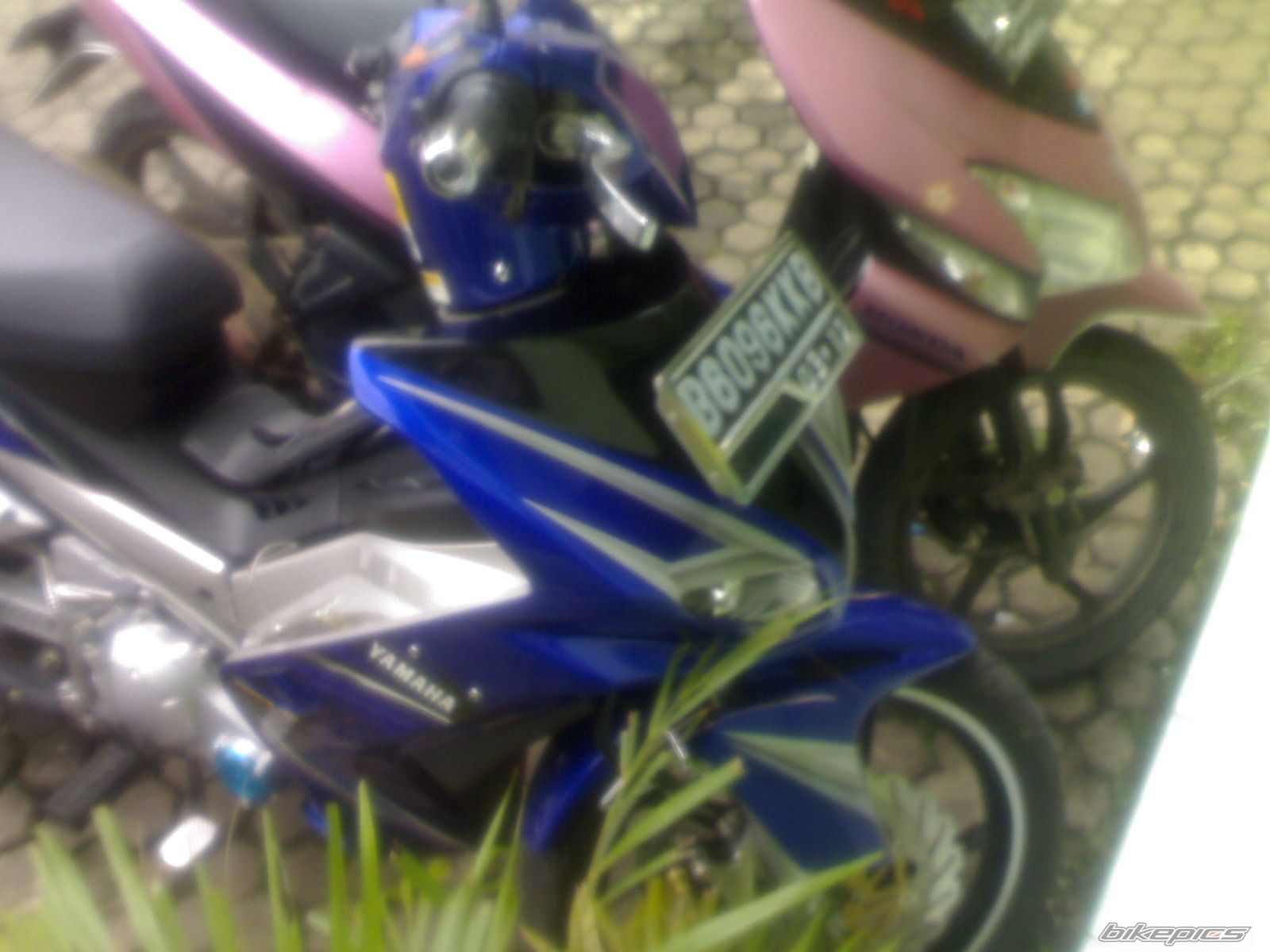 Photo 1565569