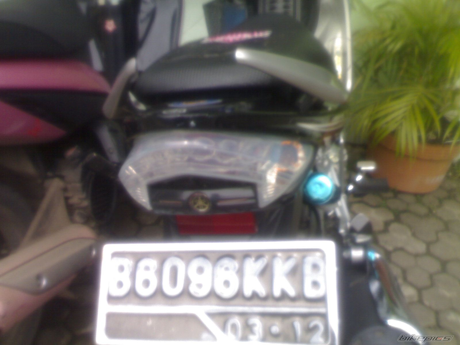 Photo 1565575