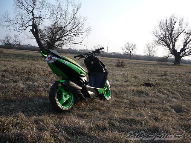 Photo 1565641