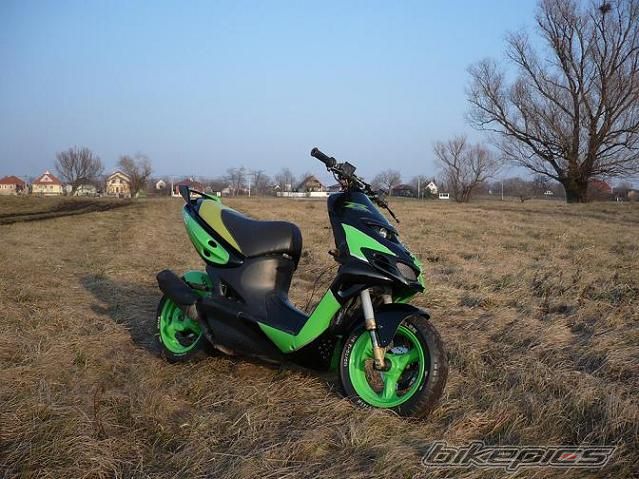 Photo 1565645