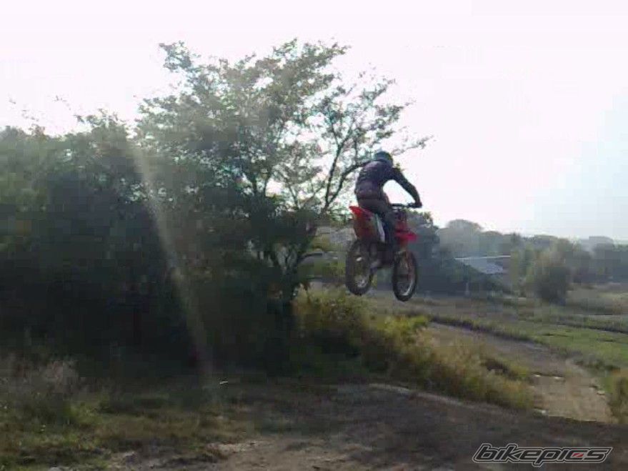 Photo 1565666