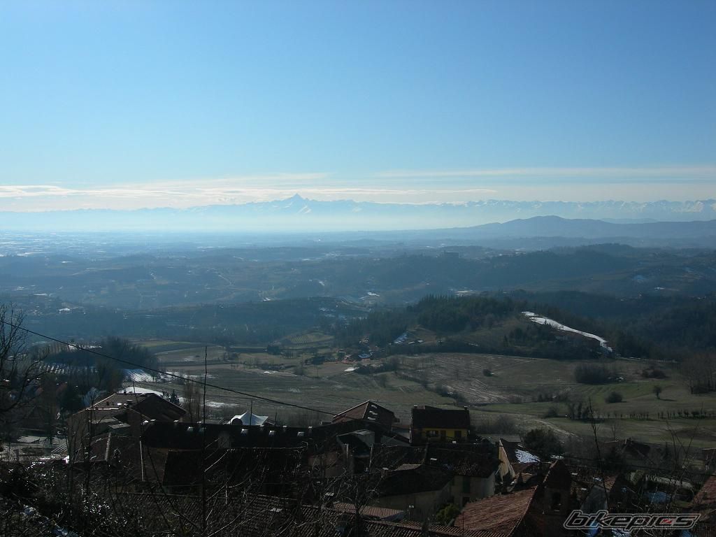 Photo 1565681