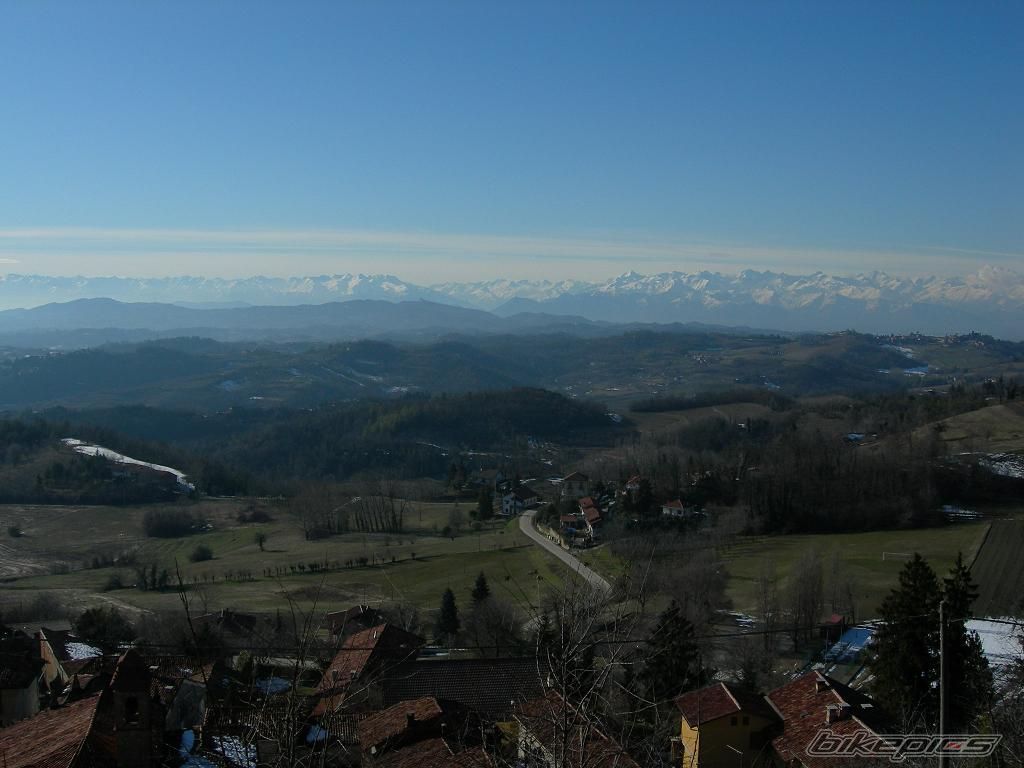 Photo 1565682
