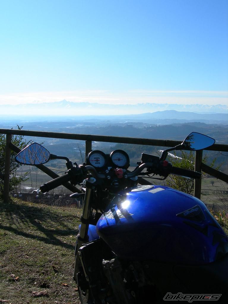 Photo 1565683