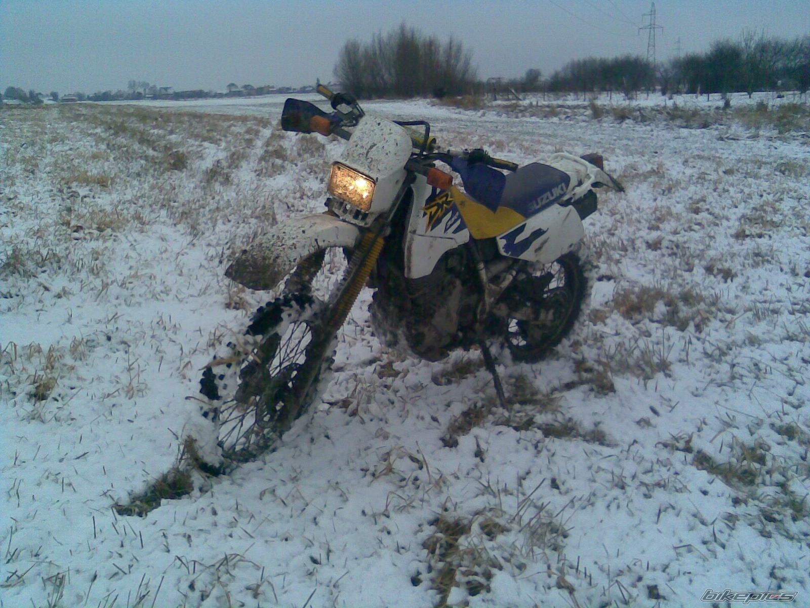 Photo 1565776