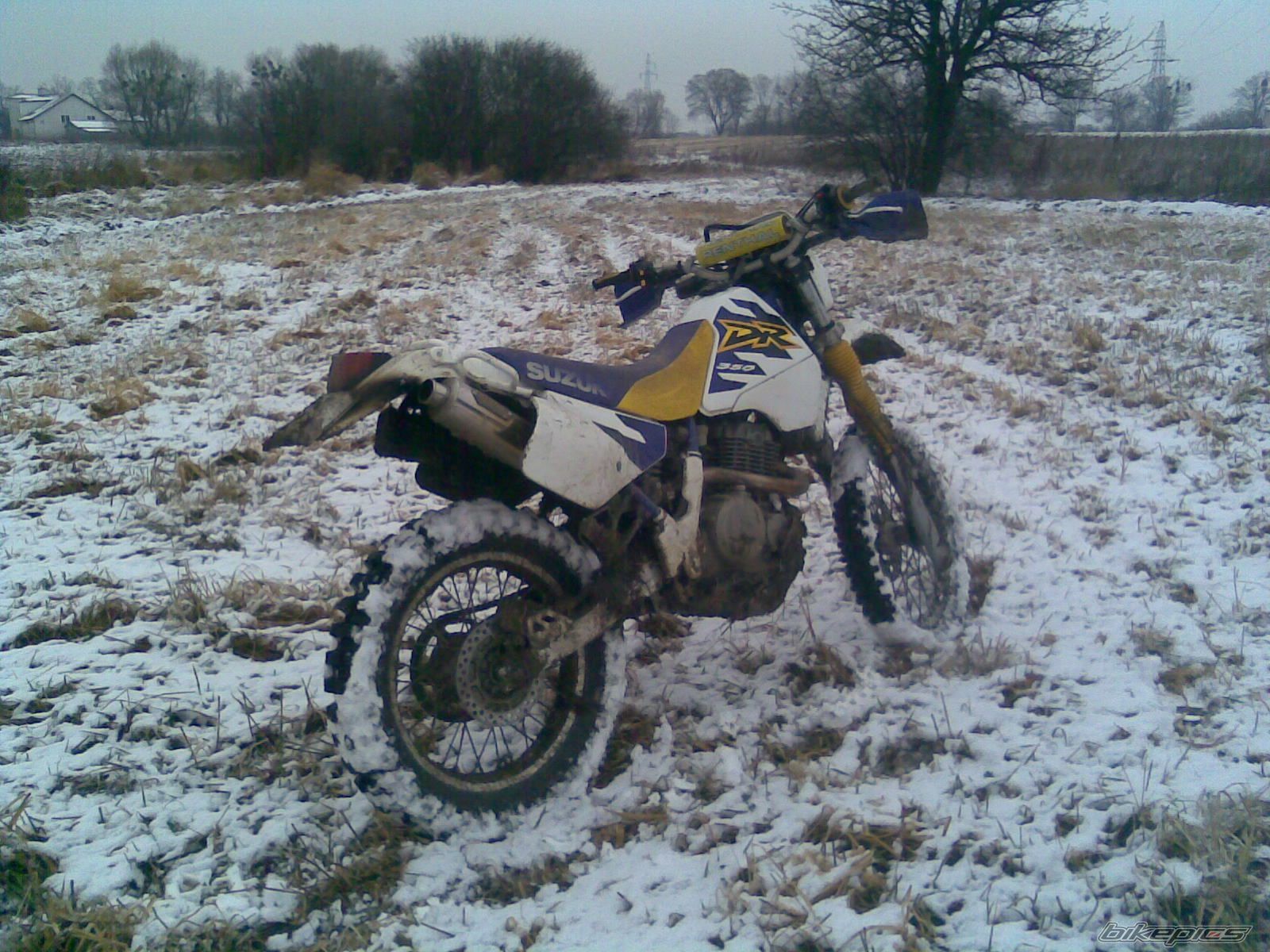 Photo 1565777