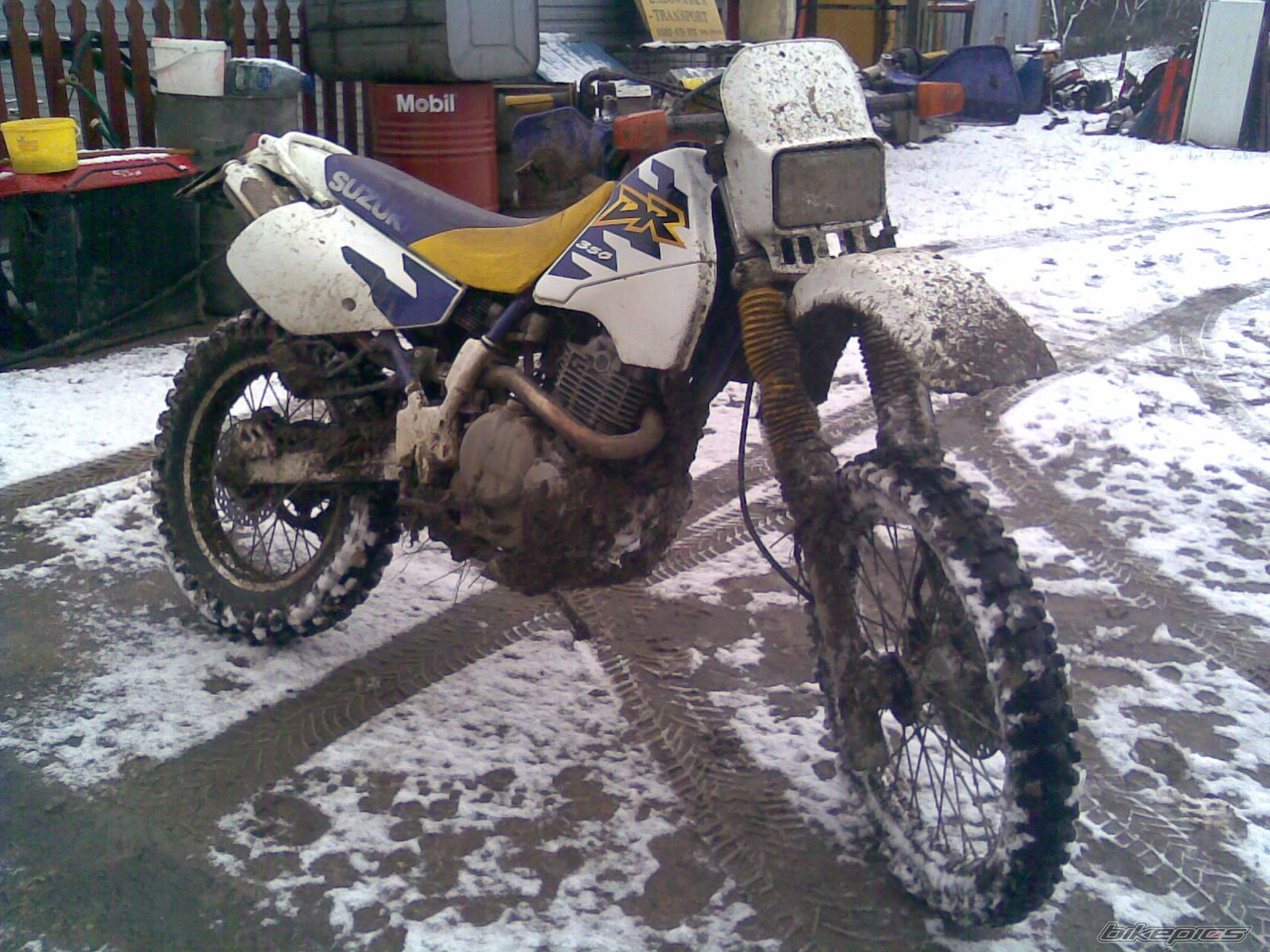 Photo 1565782