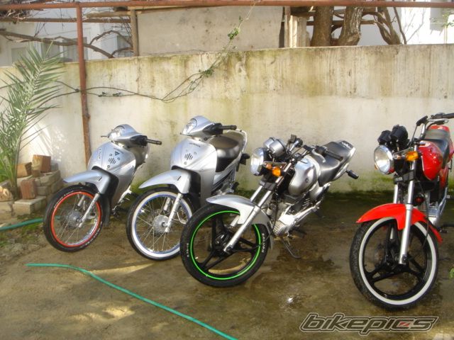 Photo 1565805