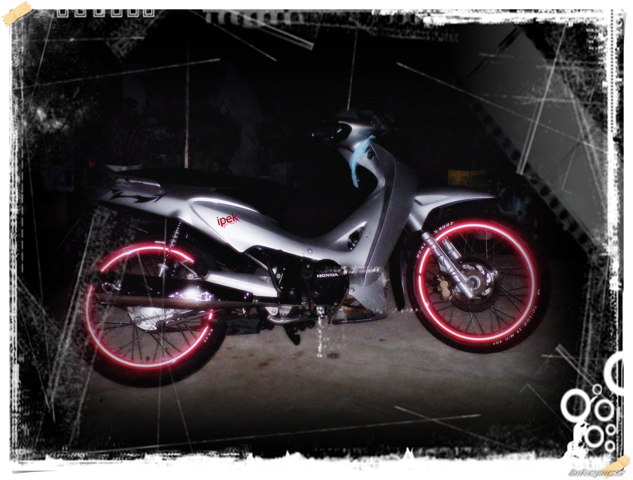 Photo 1565809