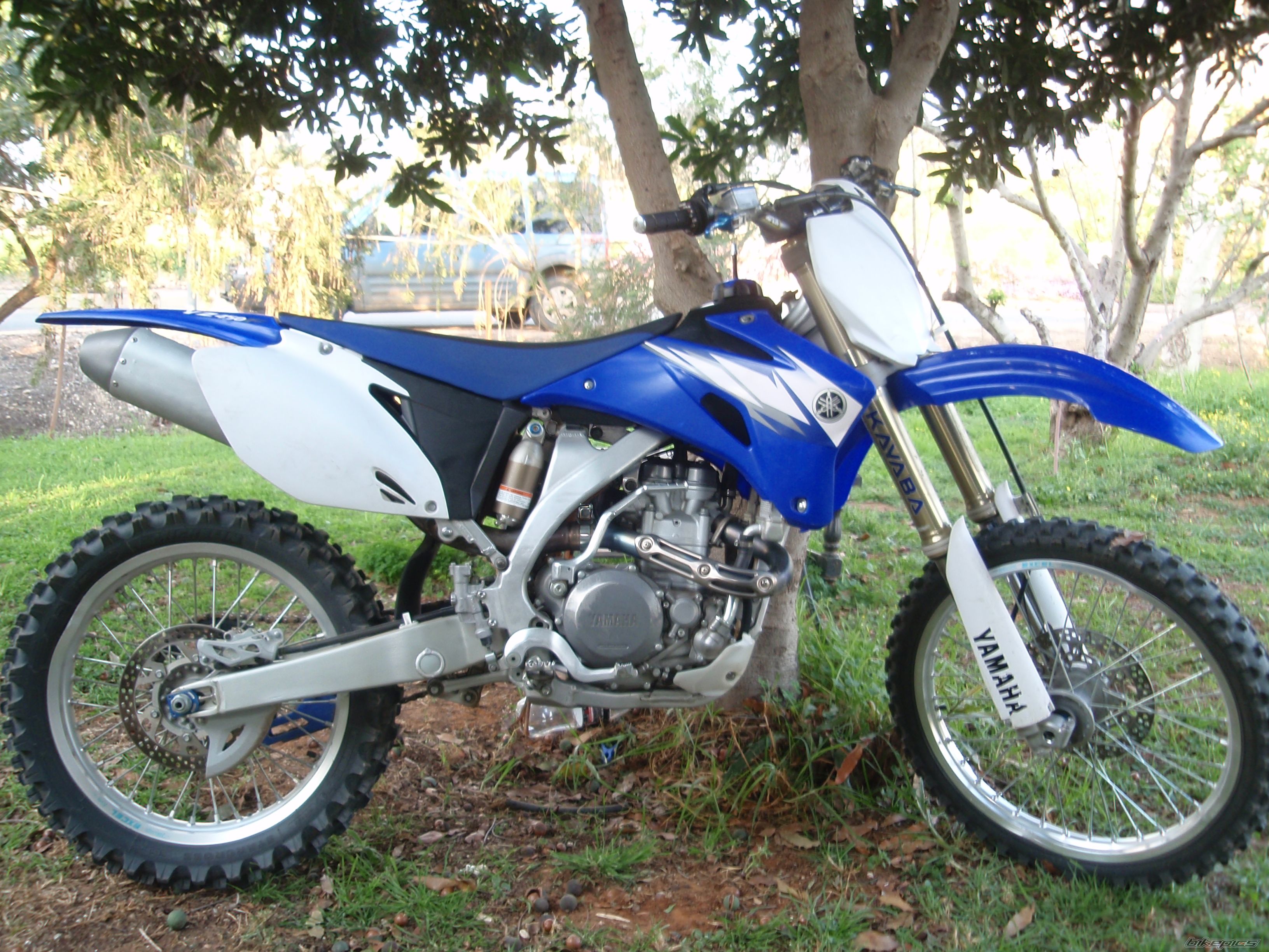 Photo 1565907