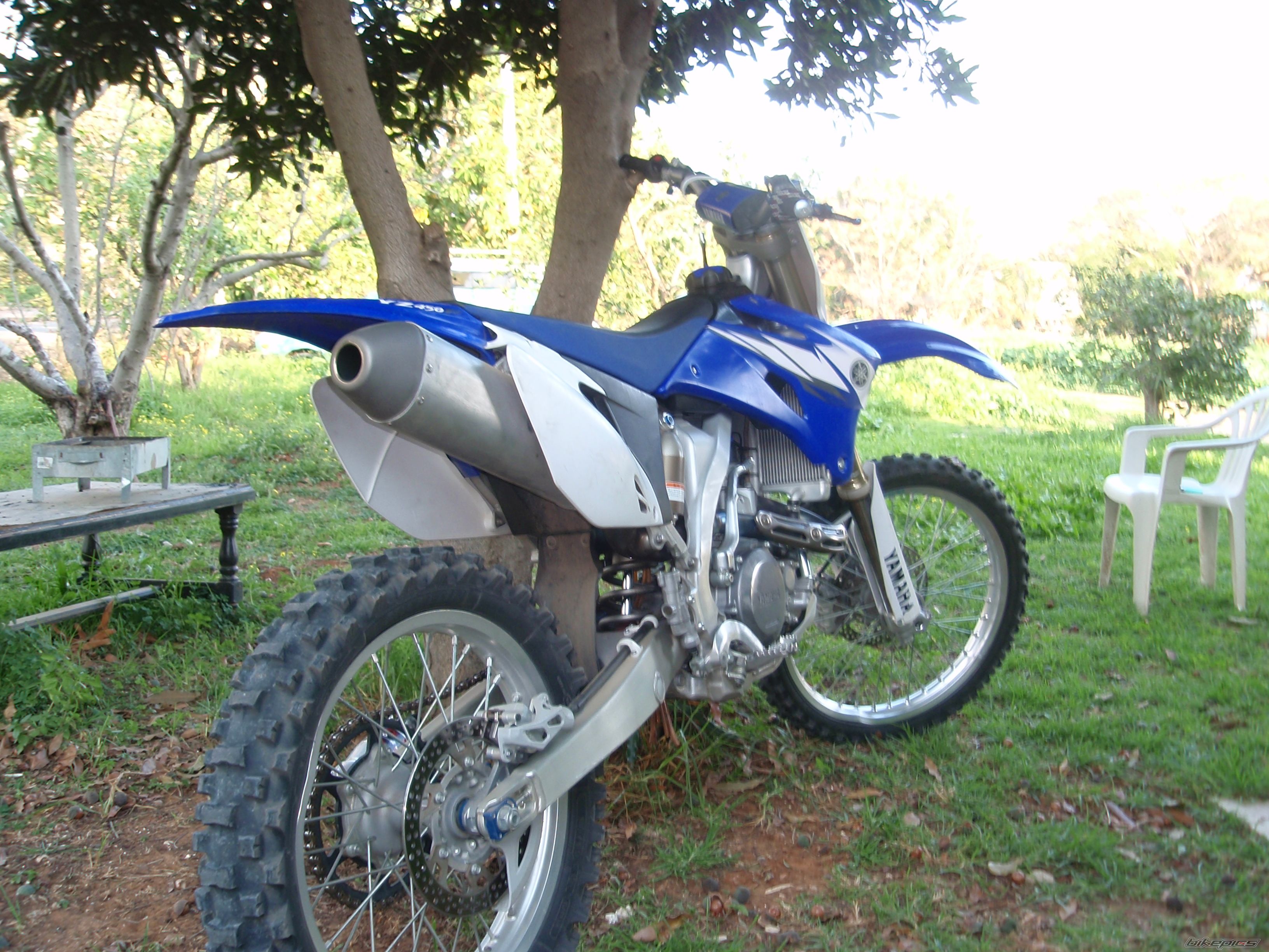 Photo 1565912