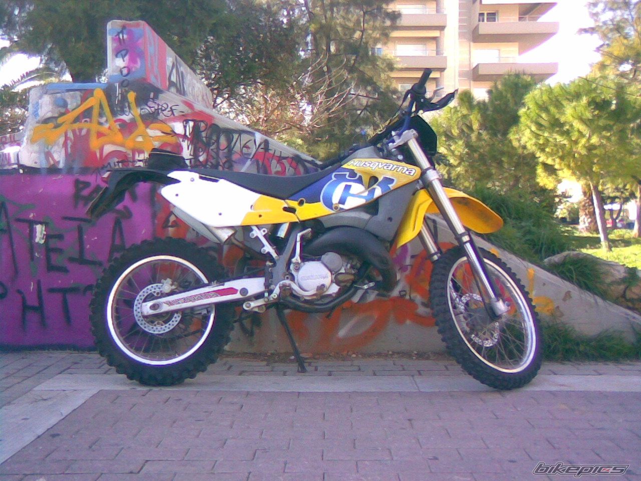 Photo 1565917