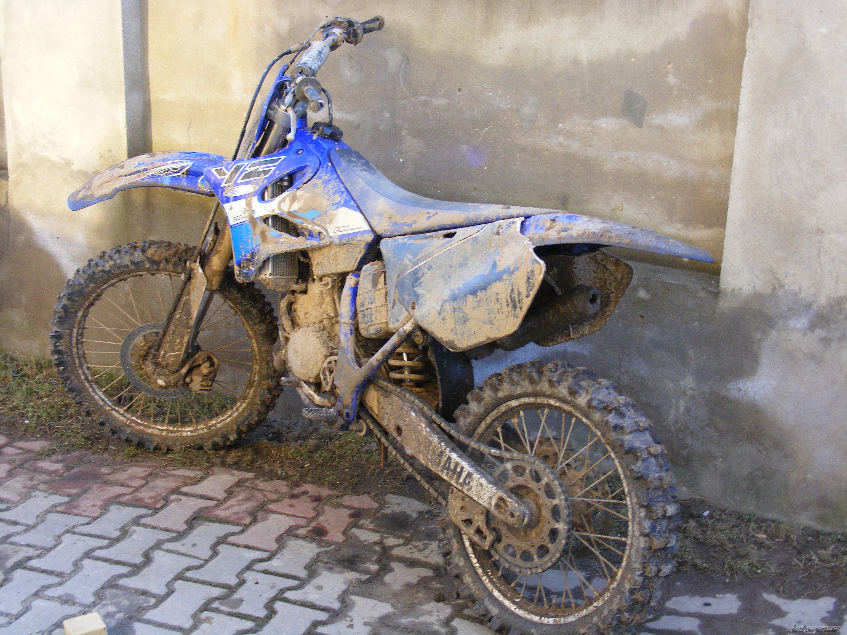 Photo 1565920