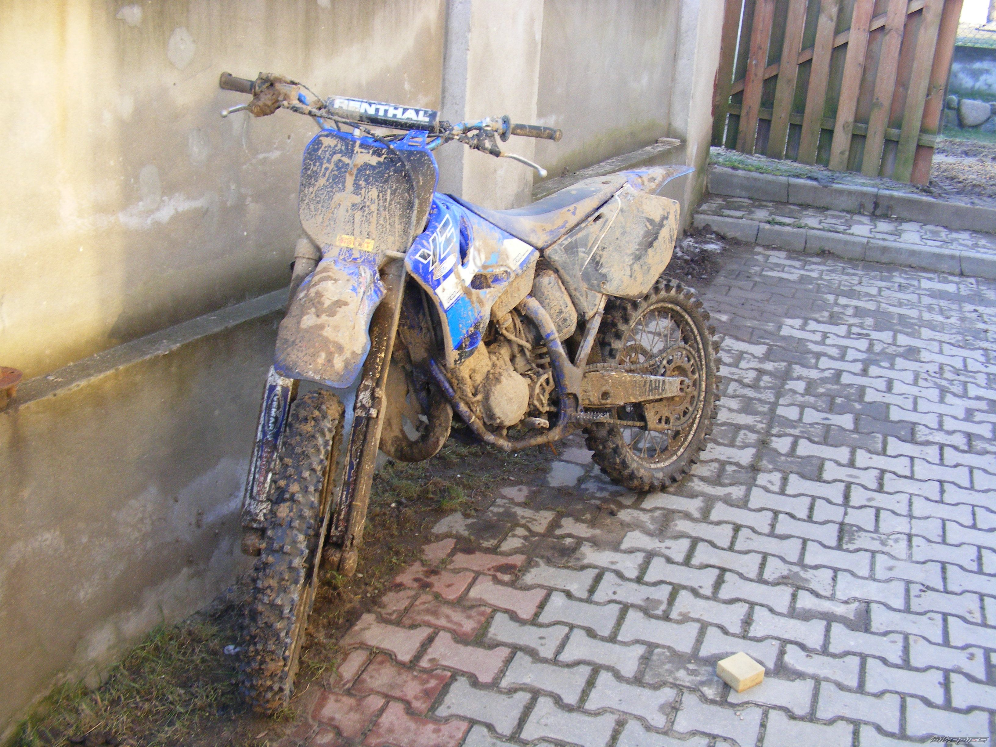 Photo 1565923