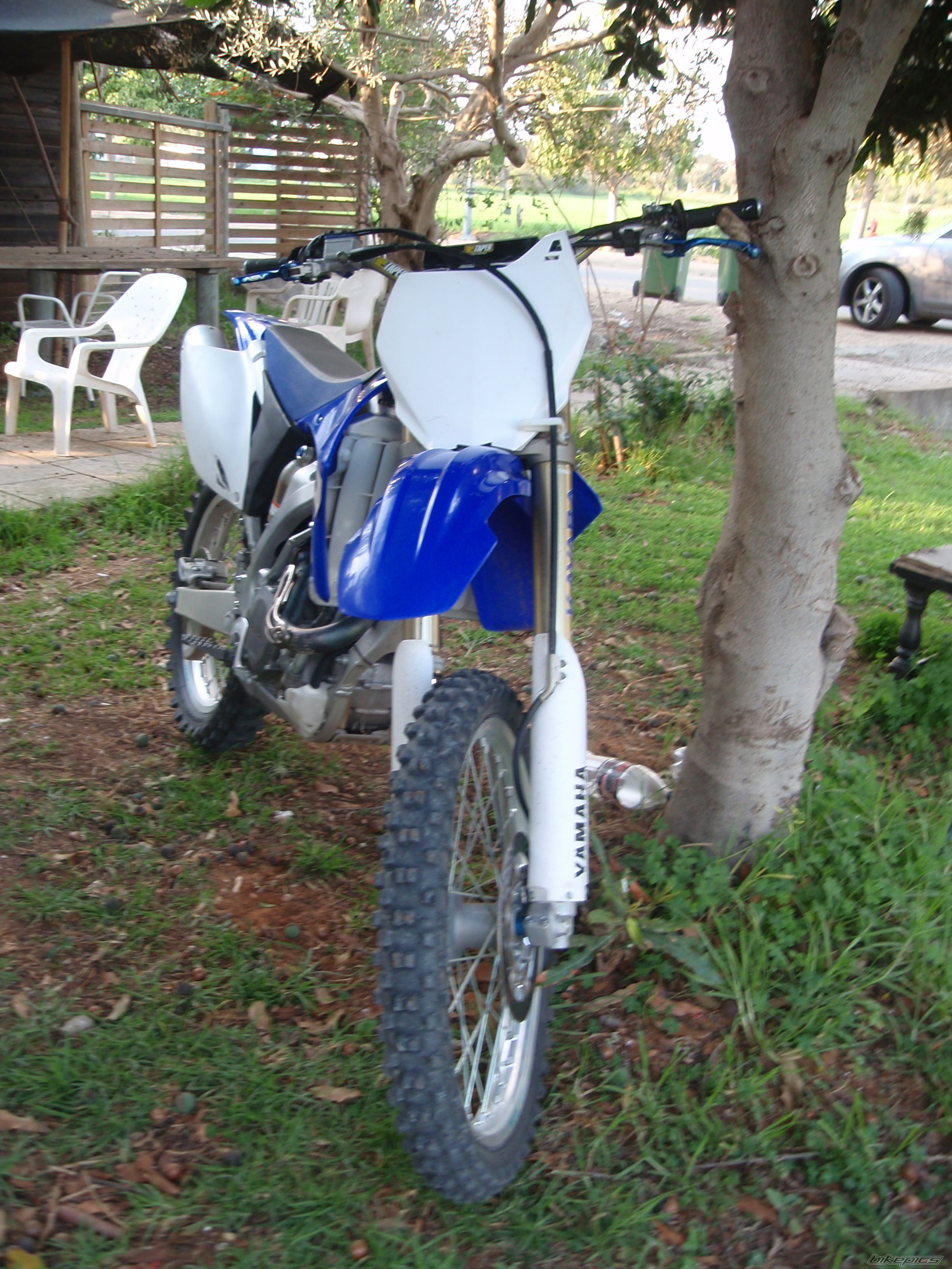 Photo 1565925