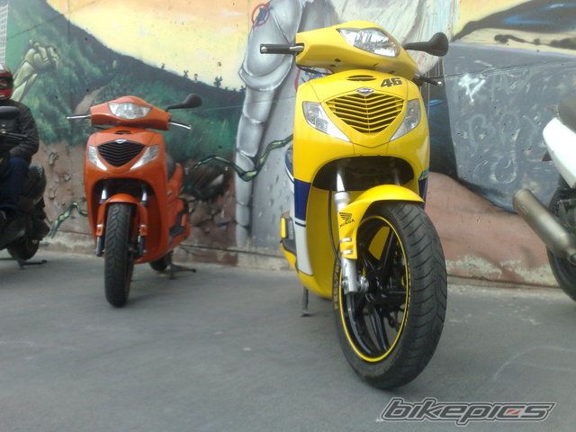 Photo 1565938