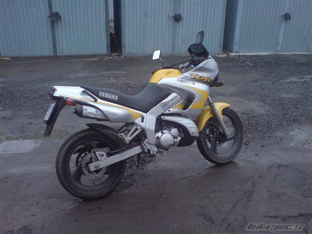 Photo 1565942