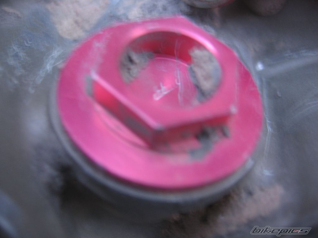Photo 1565998