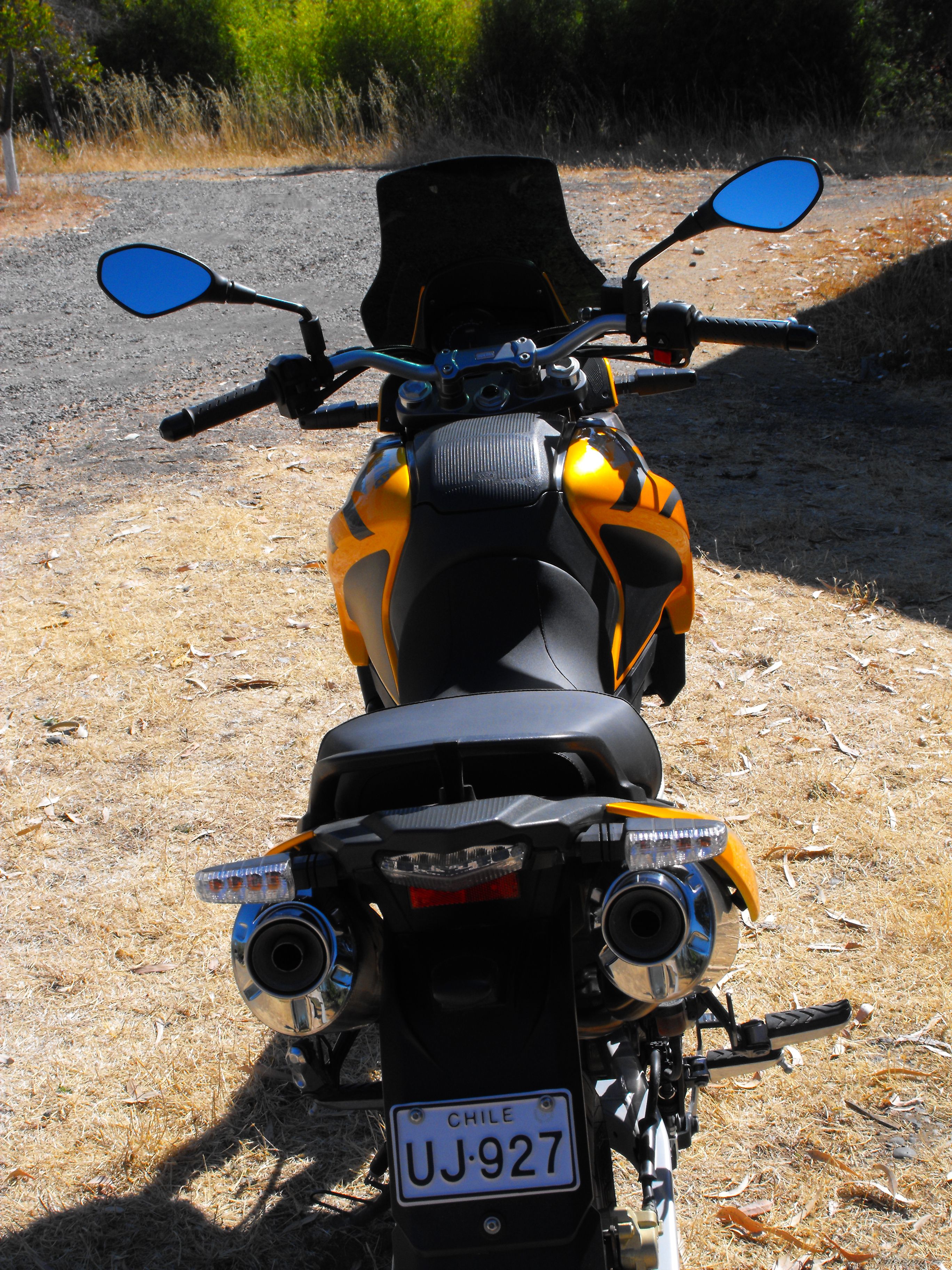 Photo 1566010