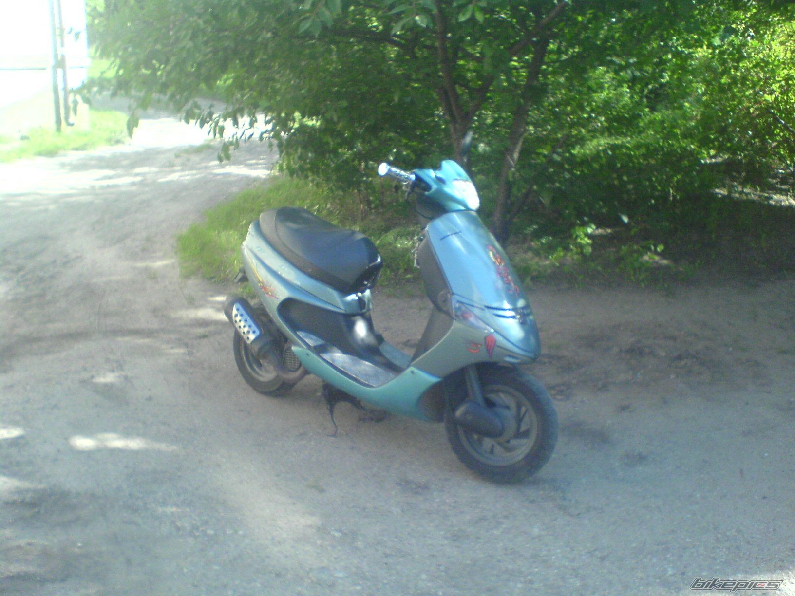Photo 1566025