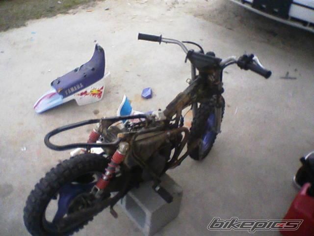 Photo 1566043