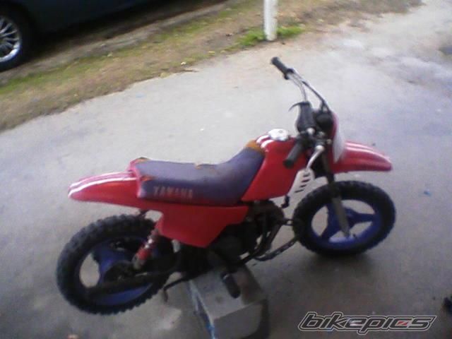 Photo 1566045