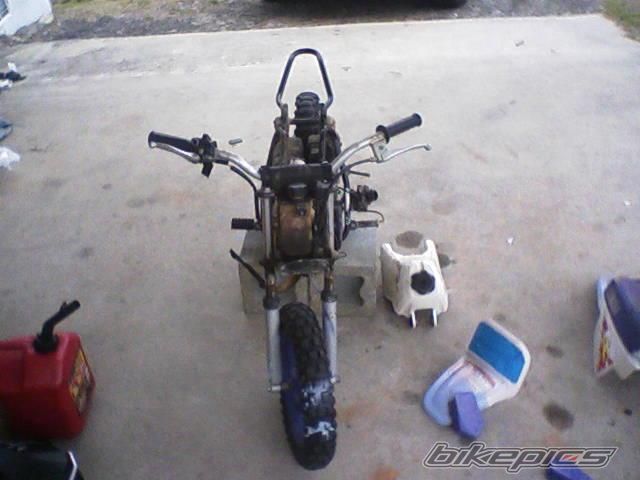 Photo 1566048
