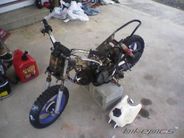 Photo 1566051