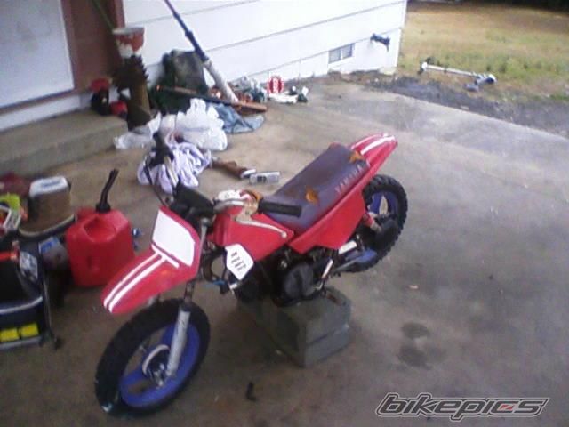 Photo 1566066
