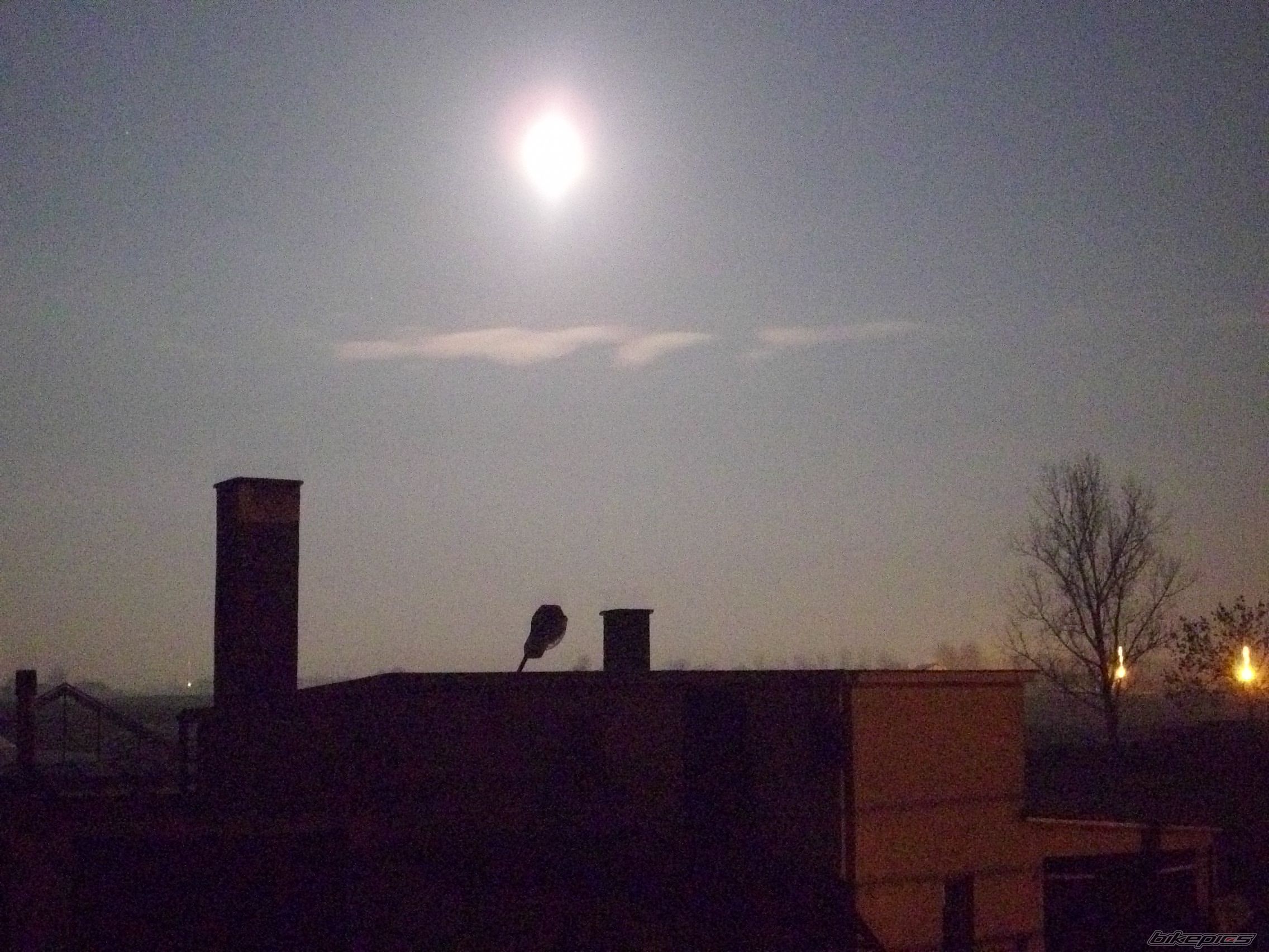 Photo 1566092