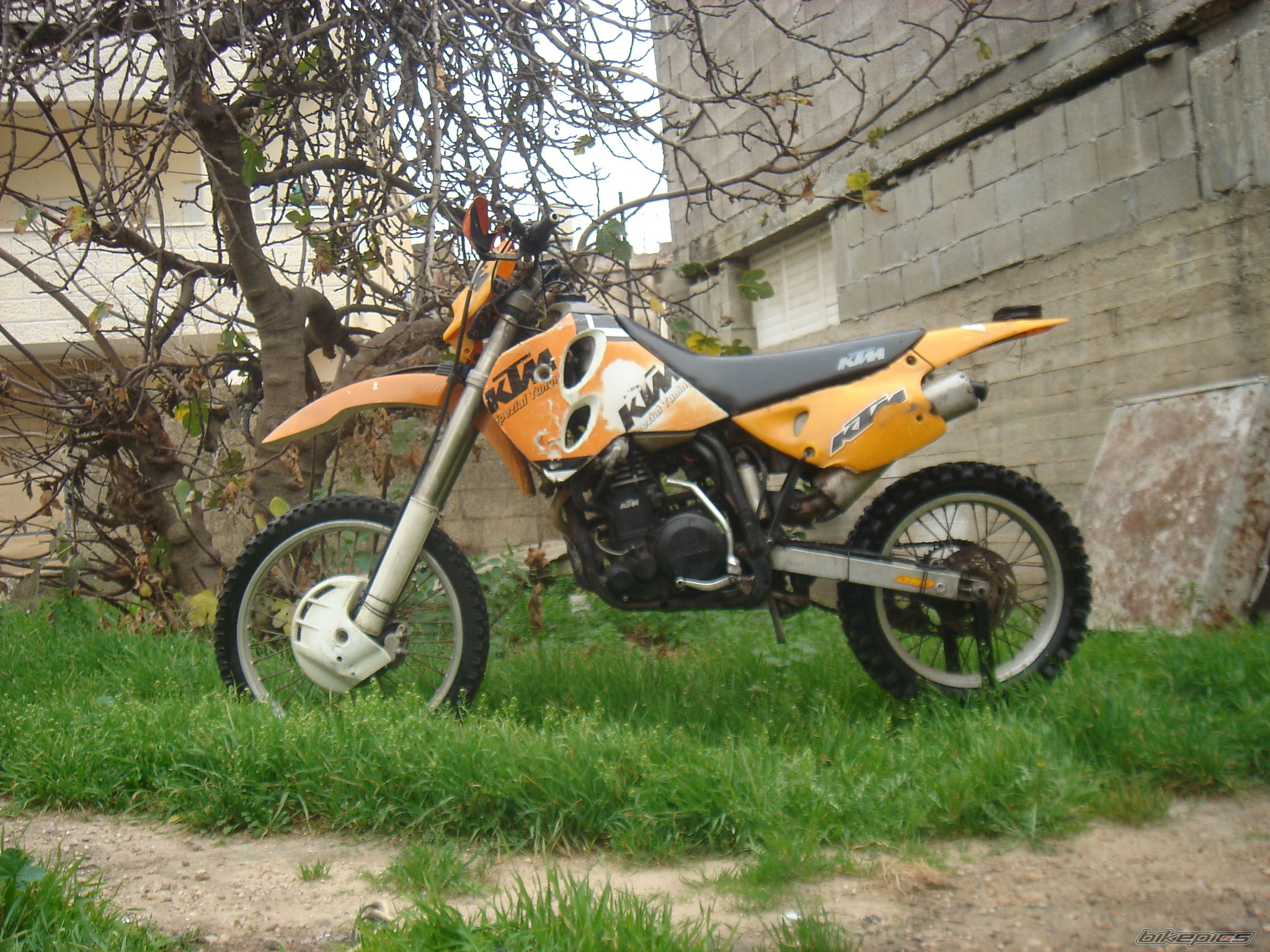 Photo 1566209