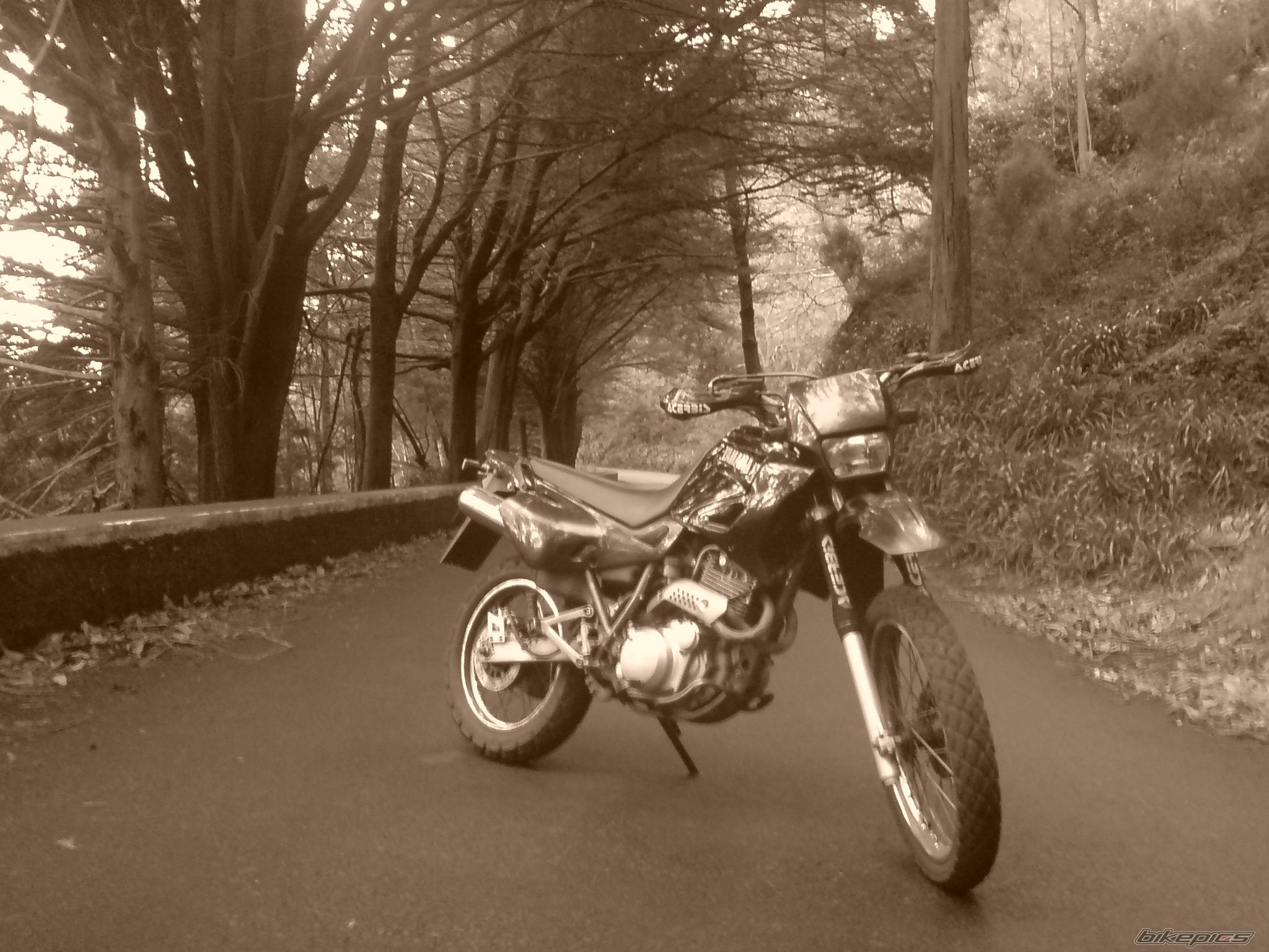 Bike Photo 1566253