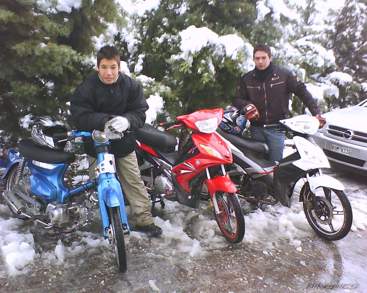 Photo 1566255