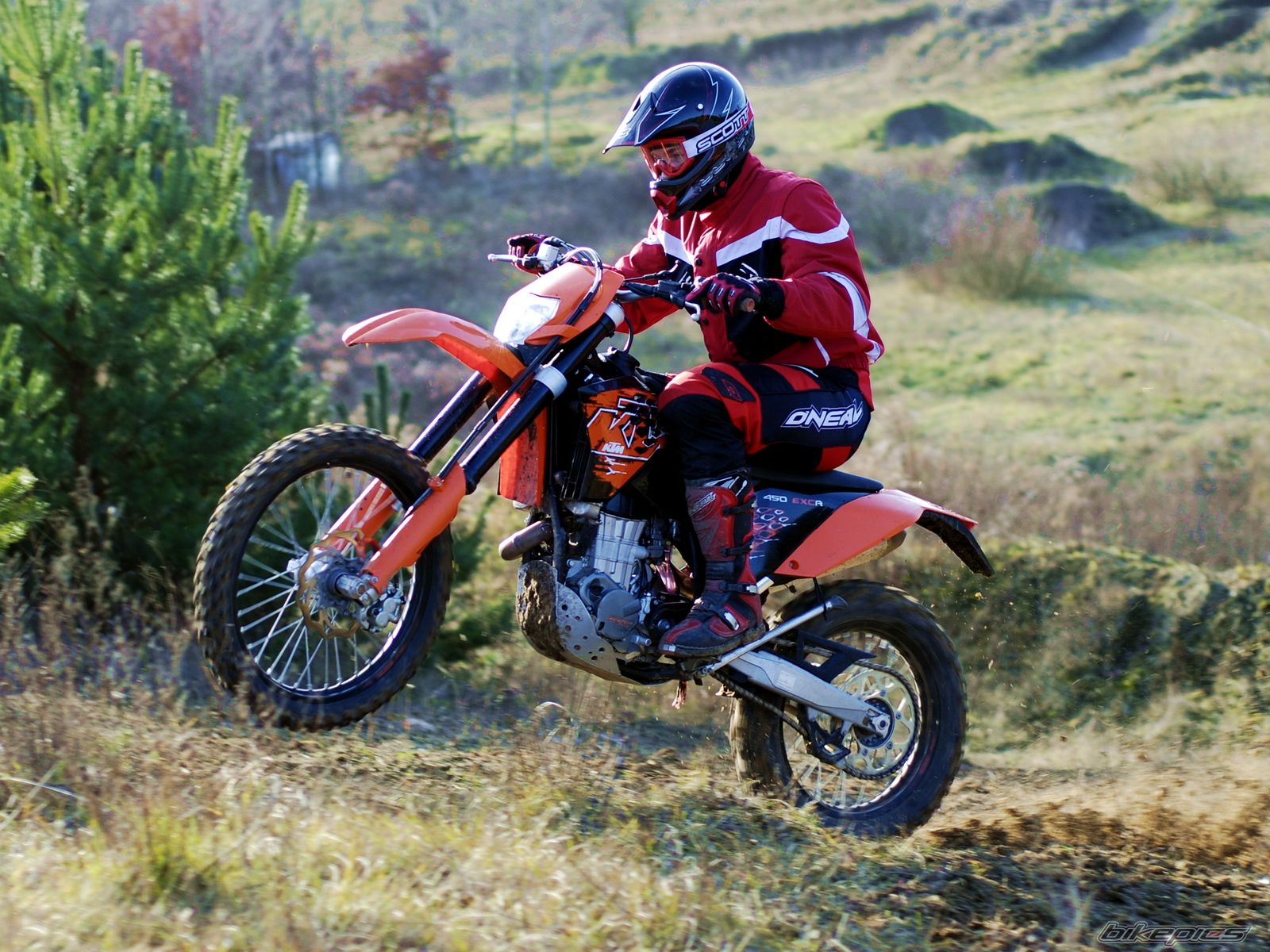 Photo 1566294