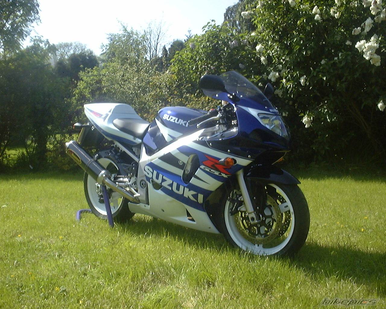 Photo 156639